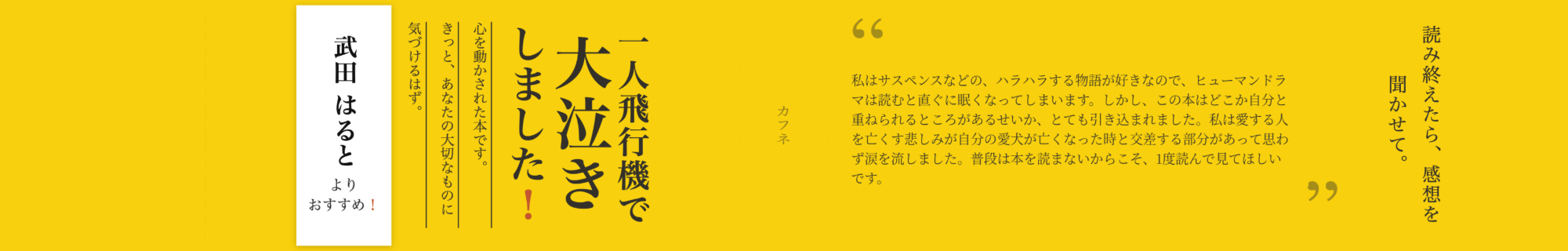 帯を展開した状態。左から表・背・裏